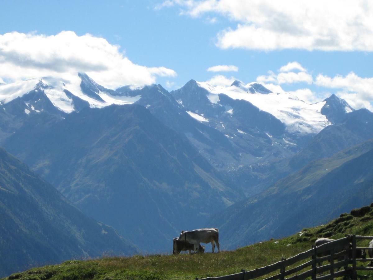 Apartamento Haus Gamskogl Neustift im Stubaital Exterior foto